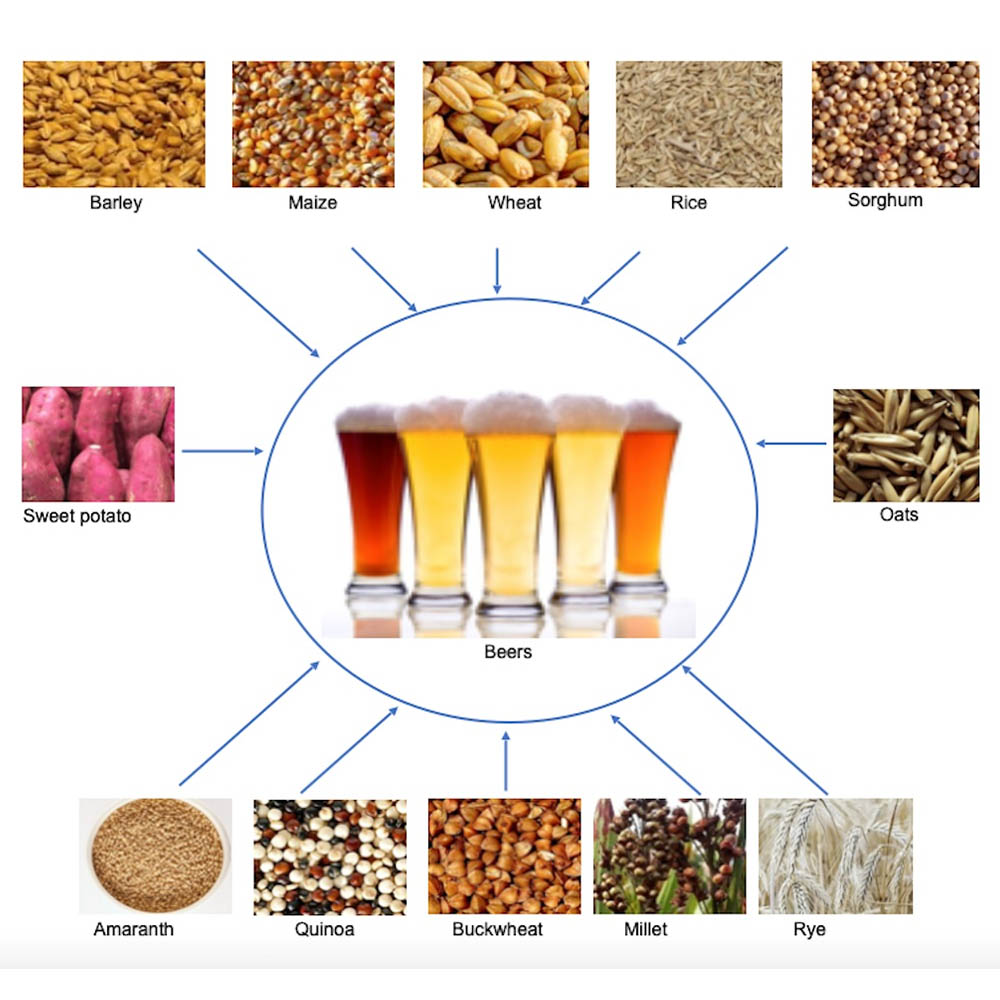 equipos para microcervecerias,fabricantes de equipos para cervecerias